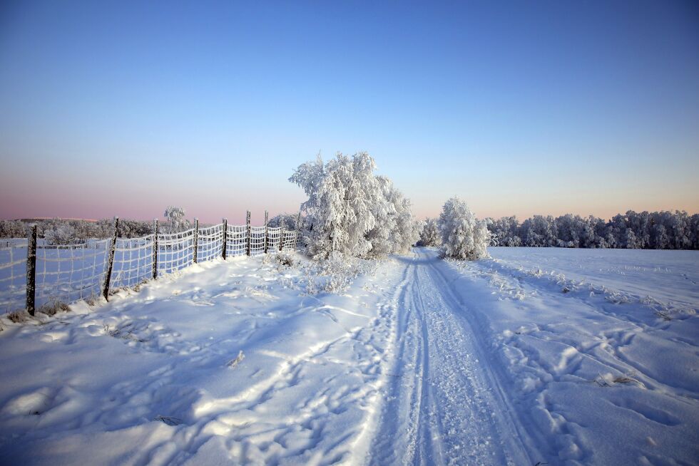 I år har vi fått tidlig kulde og sne i vårt langstrakte land, til misnøye for noen og glede for andre.
 Foto: June  Helén Bjørnback