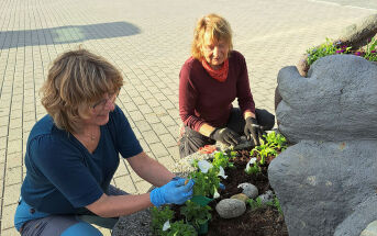 Planter for bolyst og trivsel
