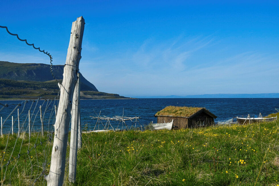 Idyllisk på det sjøsamiske tunet i Smørfjord.
 Foto: Sara Olaussen Stensvold