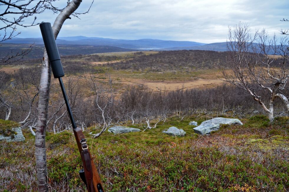 Straffen for å la være å betale regningen etter elgjakt på FeFos område er utestengelse inntil regninga er betalt.
 Foto: Arkiv