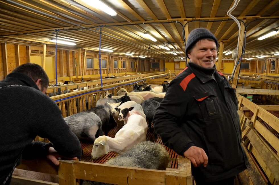 Saktens en godt fornøyd sauebonde med gode hjelpere denne lørdag. Alle foto: Berit Thomassen
 Foto: Berit Thomassen
