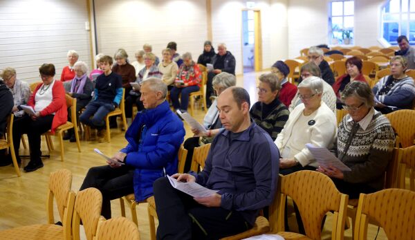 Kritikk av menighetsrådet