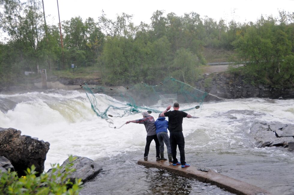 Regn har forhindret kastenotfisket etter laks i Skoltefossen i Neiden i den andre kasteuka.
 Foto: Hallgeir Henriksen (arkiv)