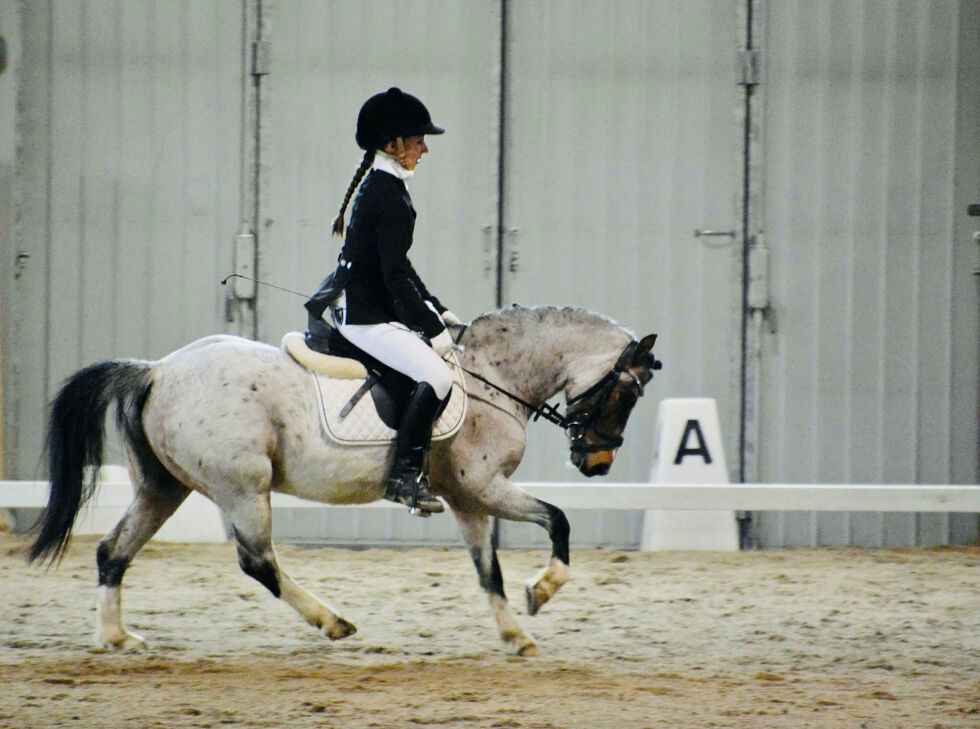Unn Karita Somby (34) på Møllenes Antero (9) fra Karasjok kjøre- og rideklubb oppnådde bra prosenter i LC lørdag med 64,40.
 Foto: Nina Gudrun Karisaari