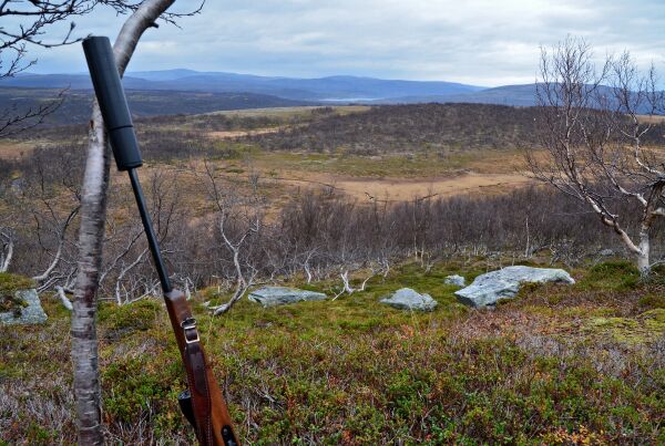 Etterforsker ulovlig elgjakt