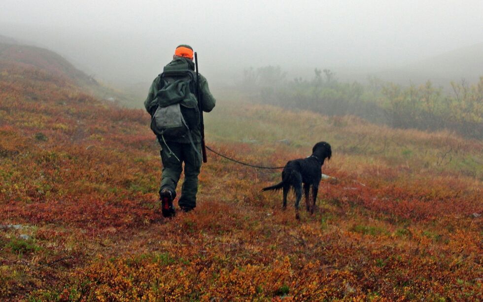 Forskning på rype i Finnmark gir jegerne grunn til optimisme før høstens jakt.
 Foto: Siv Irene Andersen