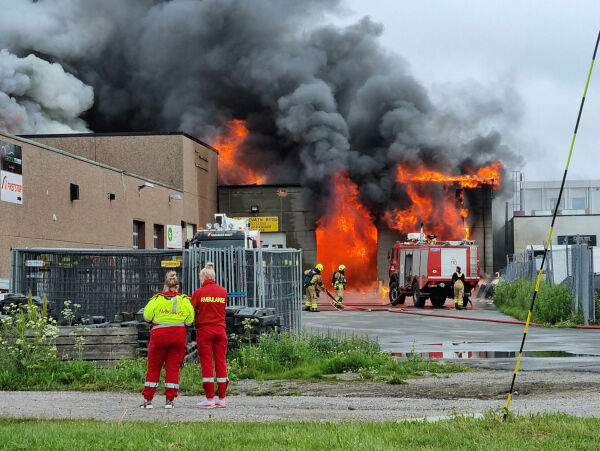 Storbrann i Vadsø