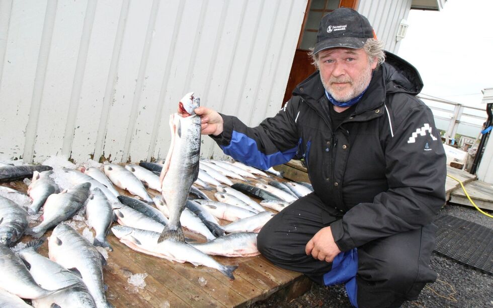 – Pukkellaksen er en helt nydelig matfisk om man tar den mens den fortsatt er i sjøen, sier sjølaksefisker Øystein Dahl. 
ALLE FOTO: TORBJØRN ITTELIN