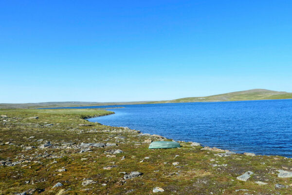 Vindkraft på Porsangerhalvøya?