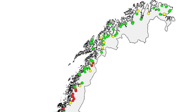 Rømlinger dro langt
