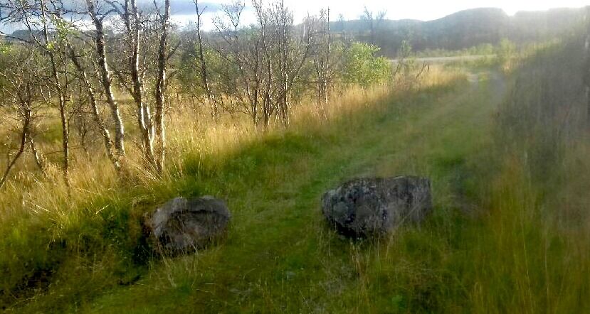 Disse steinene skal kommunen fjerne snarest, og man vurderer en anmeldelse av saken og få den som har lagt de der til å betale kostnadene ved fjerning.
 Foto: Privat