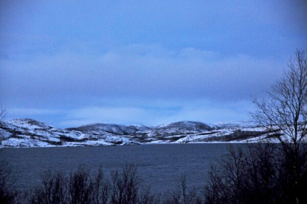 Nordlysturisme i Neiden