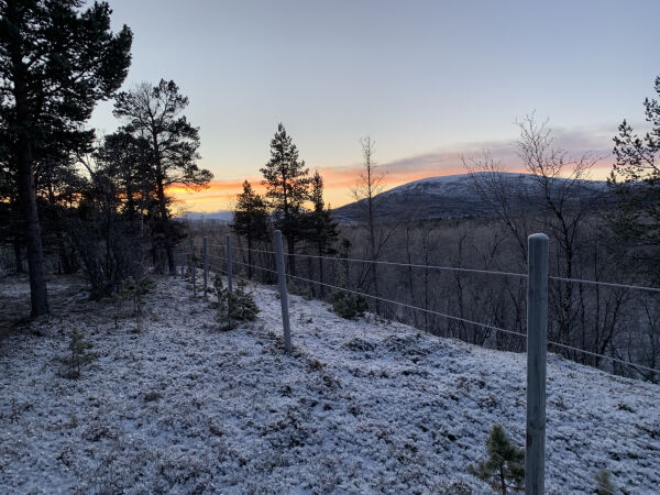 Ble Porsanger lurt av Fylkesmannen i Finnmark?