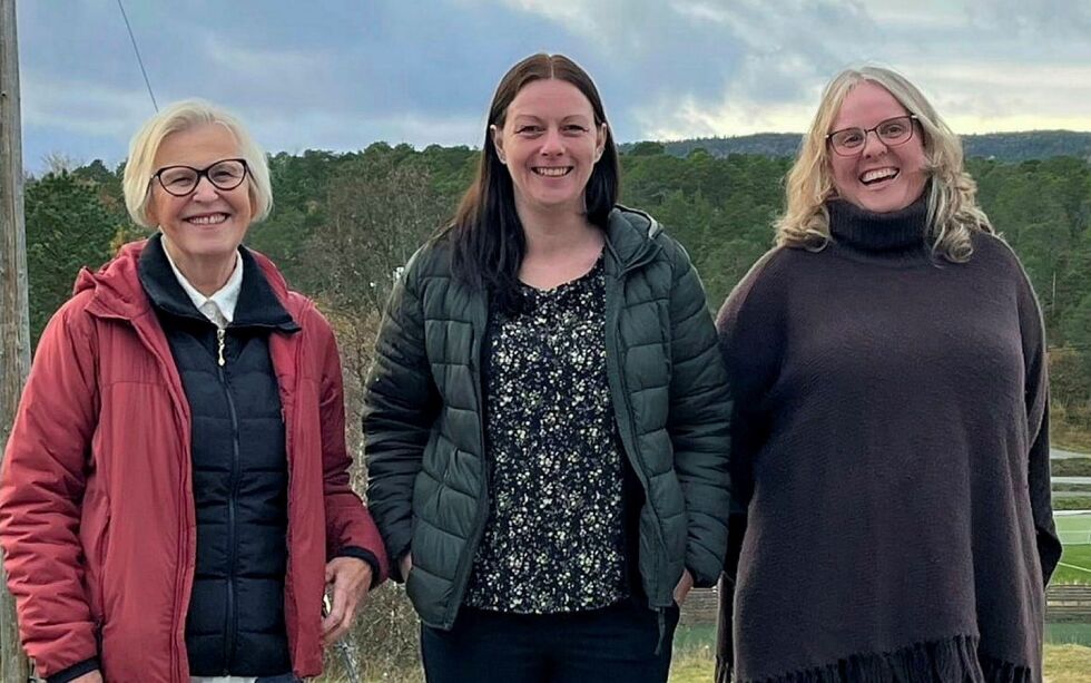 Ann Irene Sæter (Ap), Britt Kristoffersen Løksa (Sp) og Tone Ellingsen (SV) ble enige.
 Foto: Hamarøy Sp