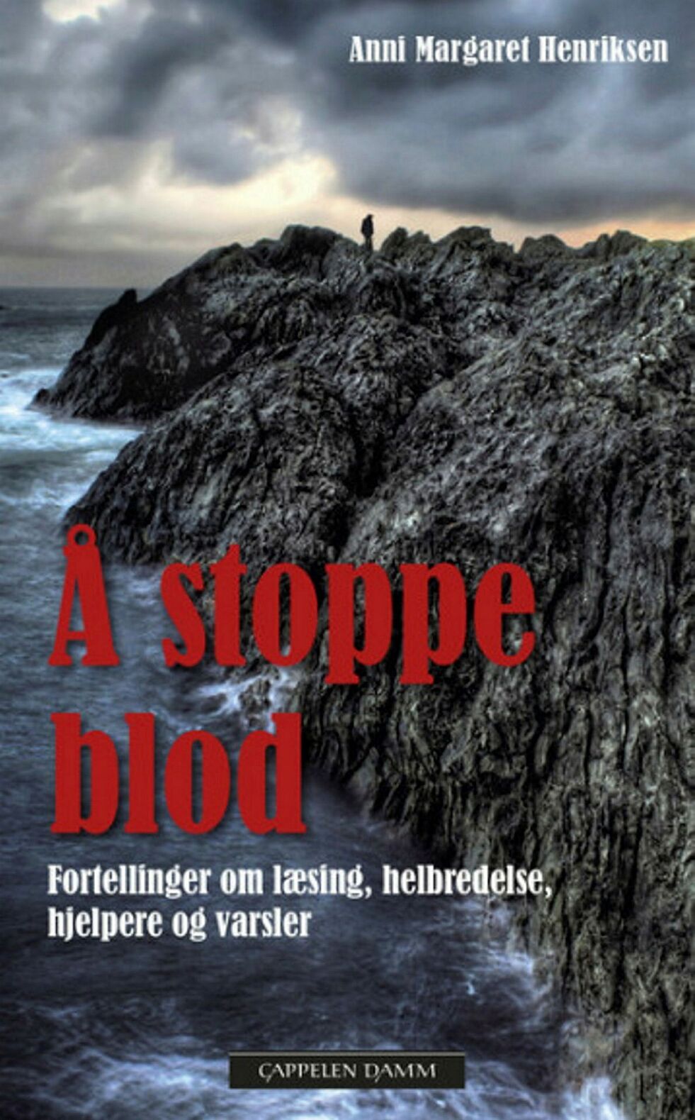 Forsiden av boka.