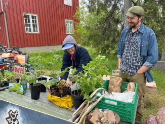 Sesongåpning med alt fra tørrfisk til hoppetau