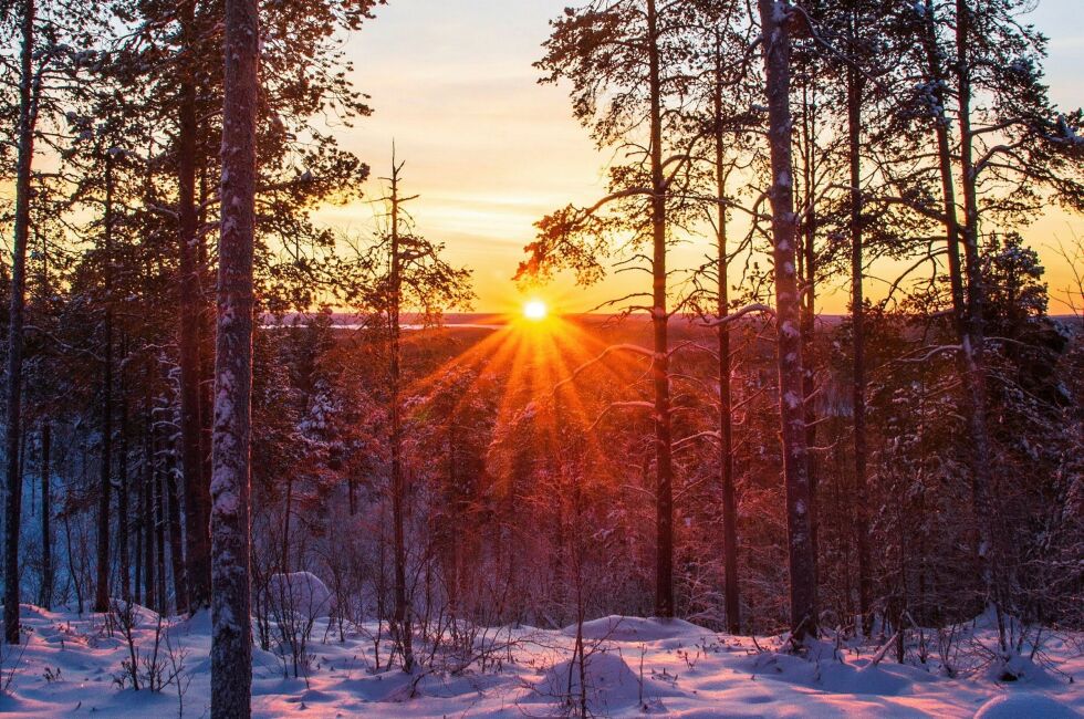 Onsdag var sola på plass hvert i Pasvik, og ble holdt velkommen av tretti kuldegrader. Foto: Ben Arne Sotkajærvi