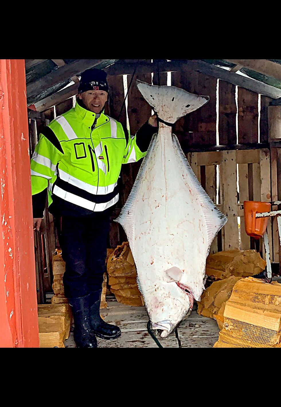 Her poserer en fornøyd Rals Ulvatne med ei kveite opp mot 60 kilo.
 Foto: Privat