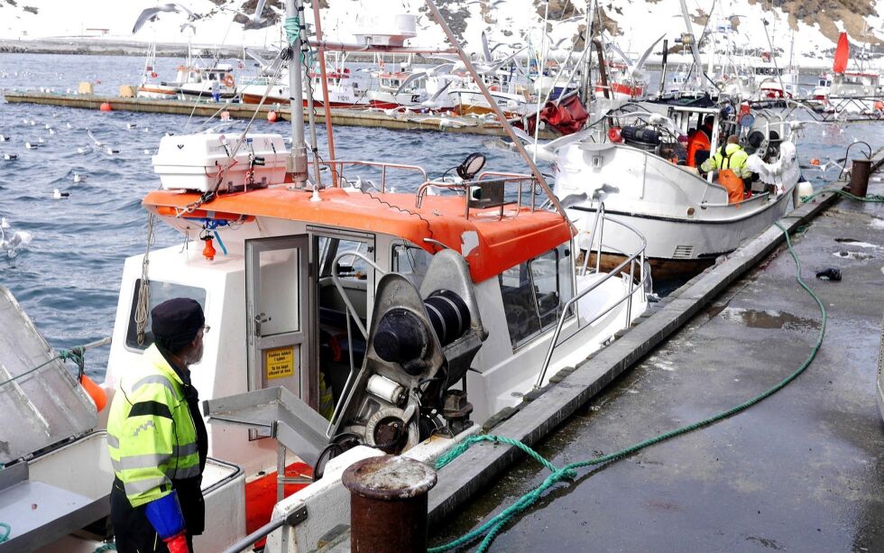 Måseskrik og solgløtt mens fiskerne lever på kaia til Nordvågen AS 5. mai. Men til tross for god vårstemning er det høyst usikre tider, også for fiskeriene, på grunn av coronakrisen. FOTO: GEIR JOHANSEN