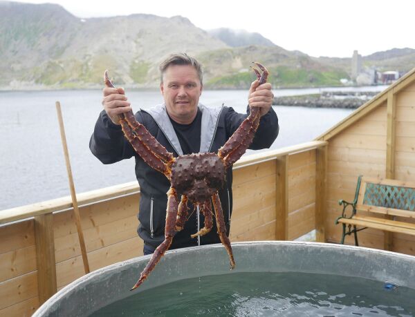 Viser turistene kongekrabbe