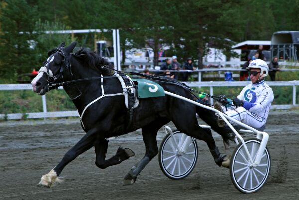 Millionhest satt banerekord