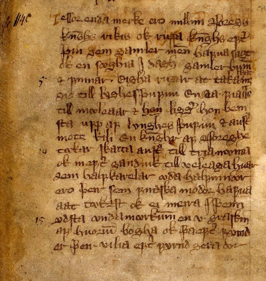 I 6. og 8. linje i bilde av stedsangivelsen i traktaten av 1251/1326 kan en se stedsnavnet Lyngstuen stavet som Lynghesþúfua. 
På linje 10 ser en det står « tækar skatt  austr til Trianæma» og mitt på linje 11 står Ganduik (datidens navn på Kvitsjøen).
