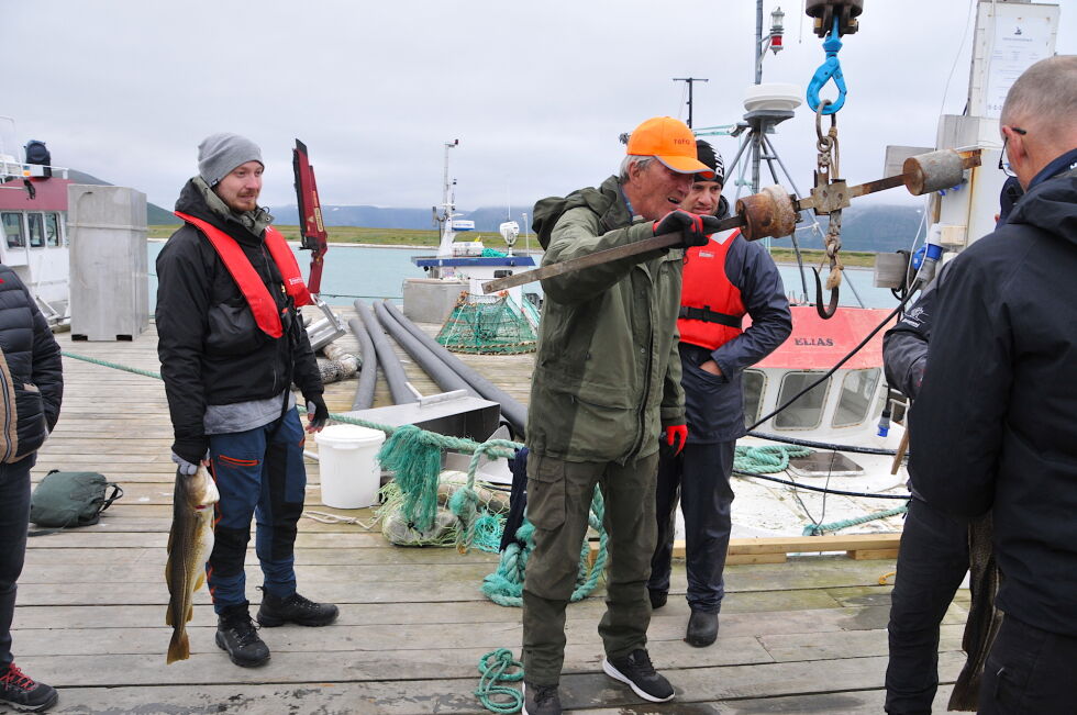 Det var færre deltakere på havfiskekonkurransen enn tidligere, men Henry Eriksen som representerer Veidnes fiskeforening, hadde likevel nok å stå i med. Benjamin Eriksen og Abbas Al-Jabbory fra Hokksund venter på tur.
 Foto: Hanne Klemetsen