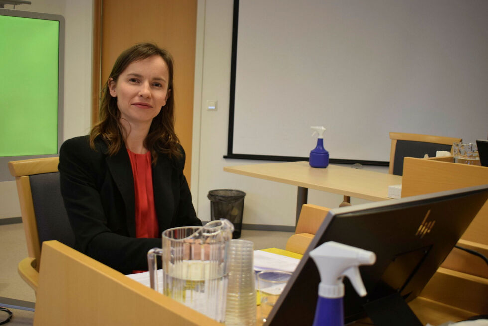 Hålogaland lagmannsrett har konkludert med at sorenskriver Inger Eline Eriksen Fjellgren sin telefonsamtale med kommunedirektøren i Nesseby gjør at det er begått saksbehandlingsfeil, og at saken må opp til ny behandling i Vestre Finnmark tingrett.
 Foto: Birgitte Wisur Olsen