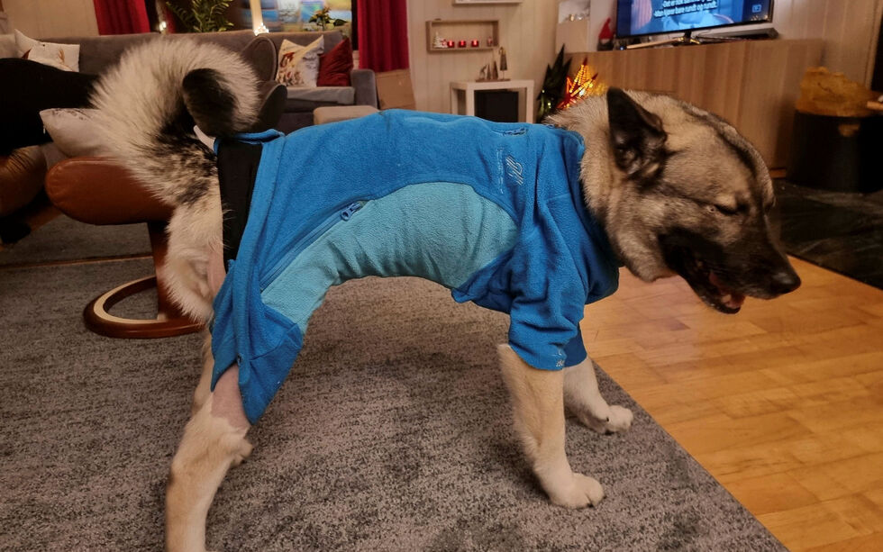 Matmor Lena Kristiansen har sørget for redesign av en gammel FeFo-fleecejakke for å kle på Suki.
