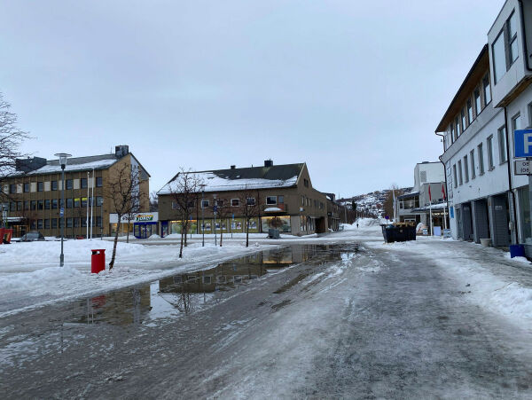 Sikkert vintervårtegn