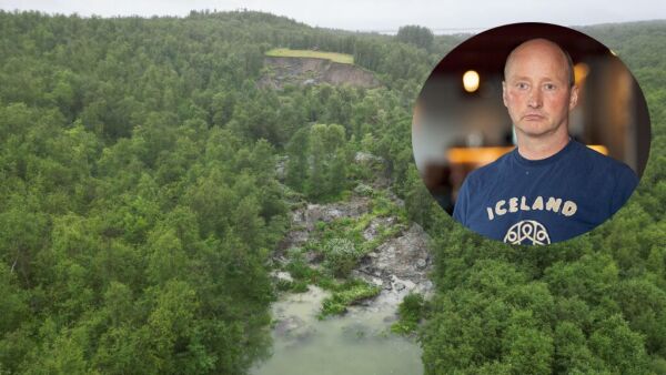 – Ante ugler i mosen