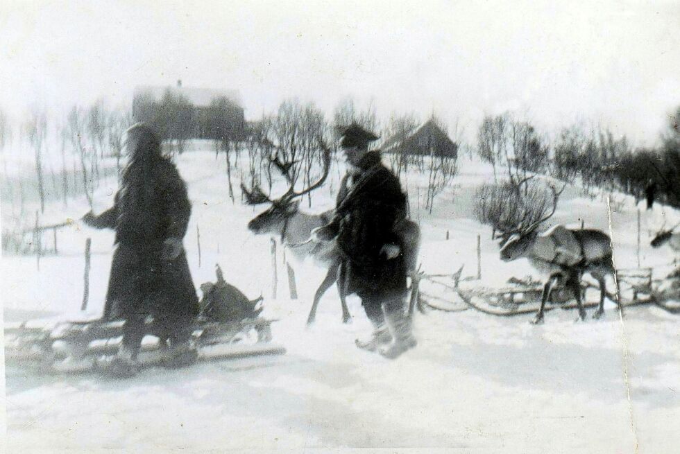 Reinraide fra Finland kommer fra tollstasjonen til Veines på 1940-tallet. På bakken ses tollstasjonen som var lokalisert hos Ole Gabrielsen. Finske grenseboere hadde med kjøtt, skinn og andre varer som de byttet mot forbruksvarer i Bugøyfjord. De måtte stoppe på tollstasjonen for å få registrert produktene de førte inn i Norge og varene de førte ut.
 Foto: Privat