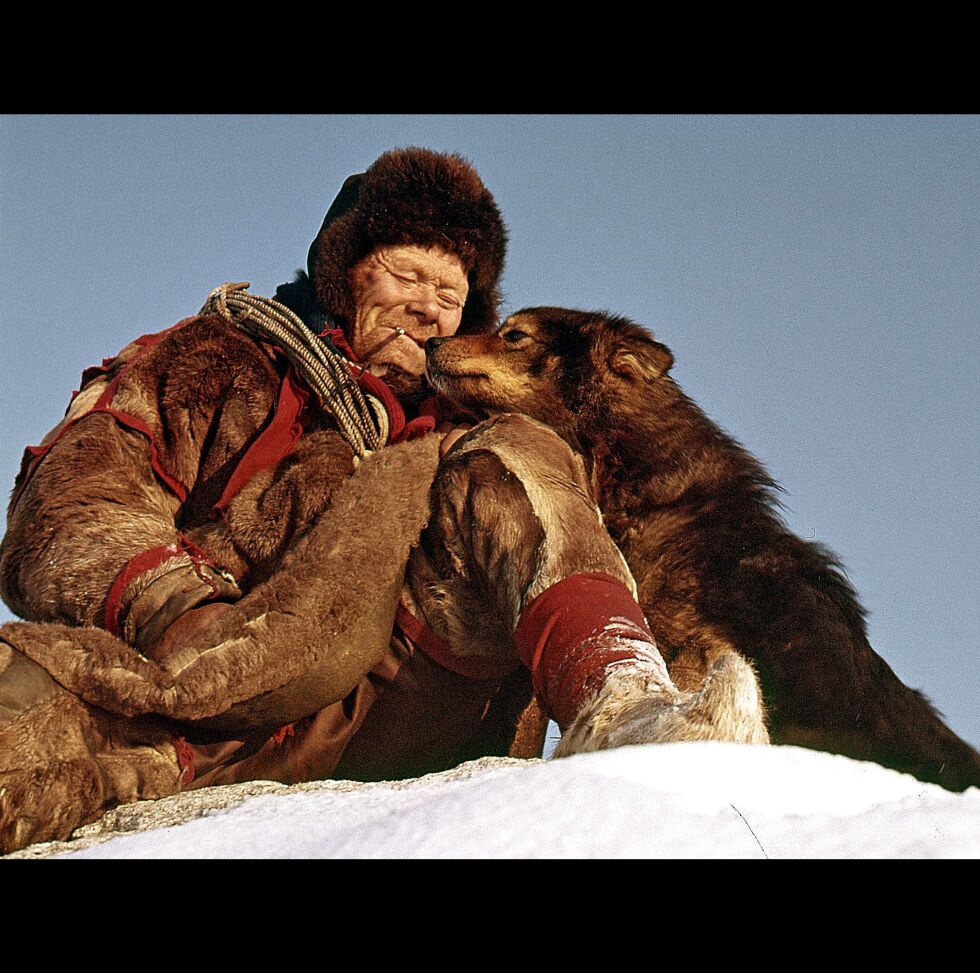 Mann med lasso og hund får seg litt hvile. Foto: KOJI TSUDA, Samisk arkiv/Arkivverket