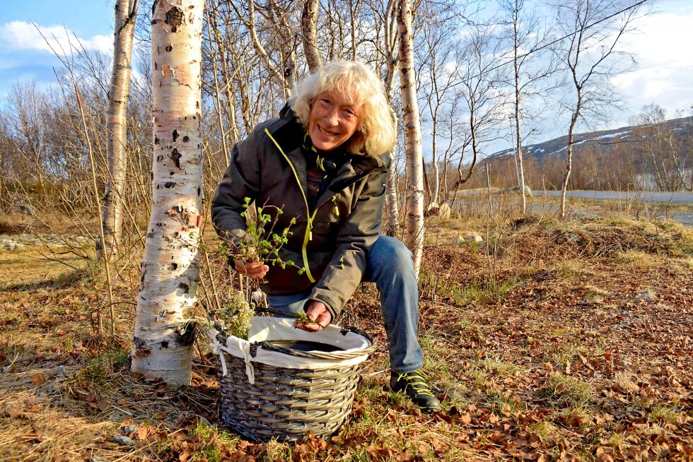 Irene Karlsen forteller at en kan klare seg uten botanisk håndbok for å hente inn flere av plantene som kan brukes mot småplager.
 Foto: Birgitte Wisur Olsen