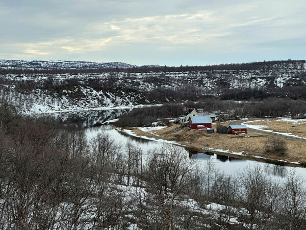 Isfritt i Neidenelva