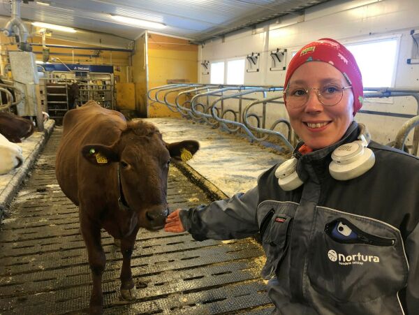 Bøndene i Tana-Varanger får produsere mer melk