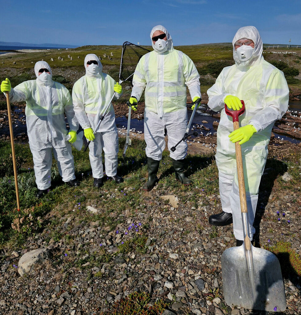 Folk rådes til å bruke smittevernutstyr dersom de må fjerne døde fugler fra egen eiendom.
 Foto: Vadsø kommune