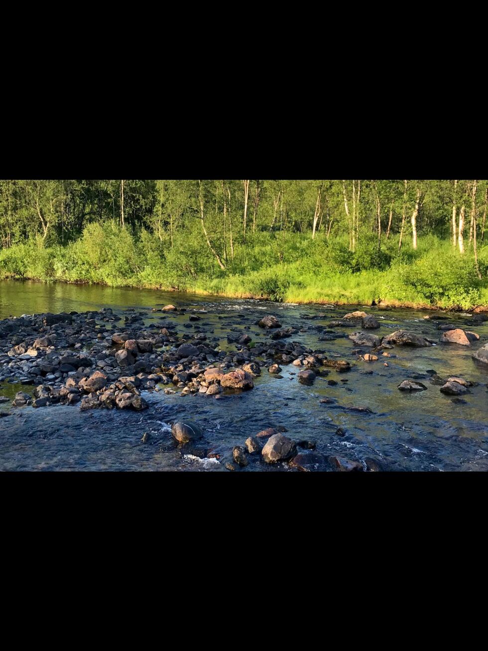 De fleste fiskere som har ytret seg, samt private grunneiere, er positive til at Ruošša-Vuorjámjohka/Grense Jakobselv er stengt for fiske fremover til vannstanden øker.
 Foto: Privat