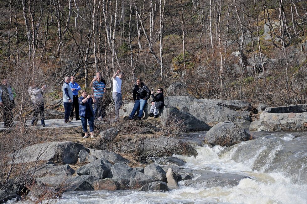 Neideenelva
 Foto: Hallgeir Henriksen