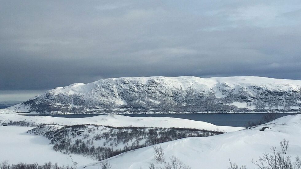I bakgrunnen sees Bringnes, som i 1935 ble fredet mot rein. Nå ønsker Skuohtanjárga siida å få opphevet forbudet. Foto: Irene Andersen