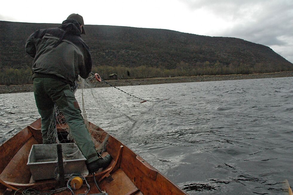 Aldri har fangsttallene for Tanaelva vært så lave, kun 30 tonn ble tatt opp på norsk side, men aldri har så få fått fiske med stang og garnfisket har også måtte tåle begrensninger. I tillegg var vannstanden store deler av sommeren veldig høy.
 Foto: Tom Hardy (illustrasjon)