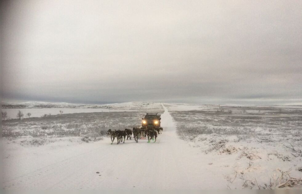 Et hundespann under trening etter den gamle veien over det værharde fjellet Beaskáđas på gtensen mellom Kautokeino og Alta kommuner. En gang for 100 år siden passerte dikteren Nordahl Grieg dette fjellpartiet. 
FOTO: STEIN TORGER SVALA