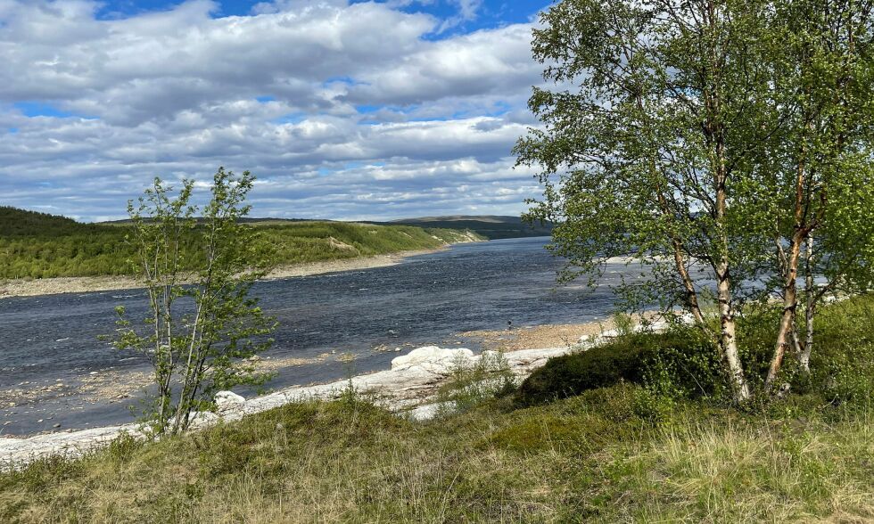 Stan­sen i lak­se­fisk­et ble inn­ført for å sørge for at det kommer nok gyte­fisk opp i elv­ene.
 Foto: Birgitte Wisur Olsen