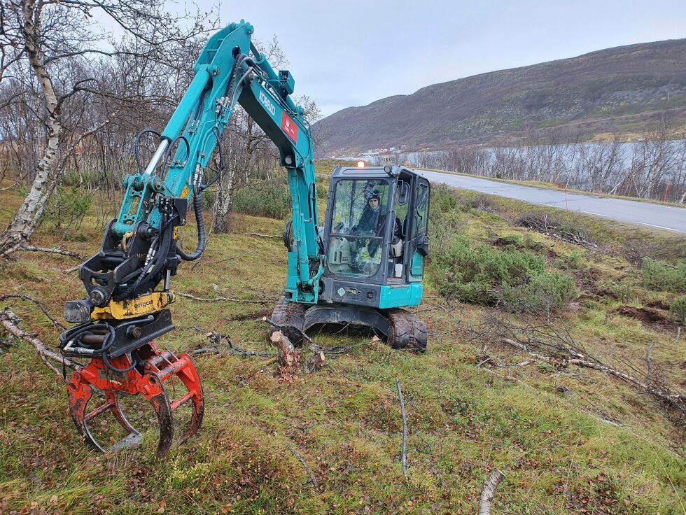 Det er en del skog som skal fjernes. I Smalfjord holder altagutten Kris Gjøran Bårdsen Pedersen (17) i tanafirmaet SRS Maskin & Utstyrsalg AS på med å samle sammen felt skog, gravemaskina brukes også til å klippe trær med. BEGGE FOTO: TOM HARDY