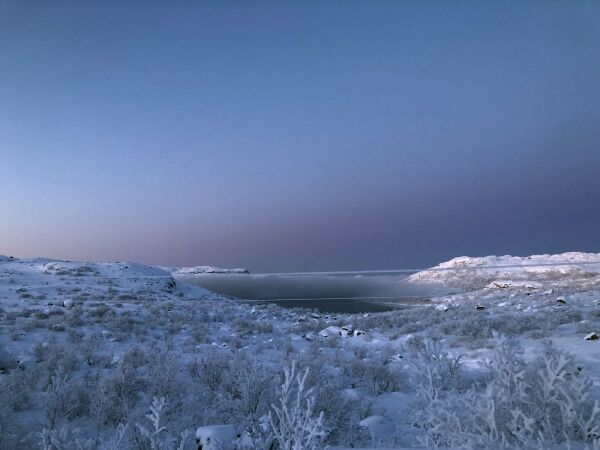 Frostvakkert på  Jarfjordfjellet