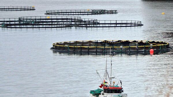 Bli med på tokt for fisk, fjorder og fiskere
