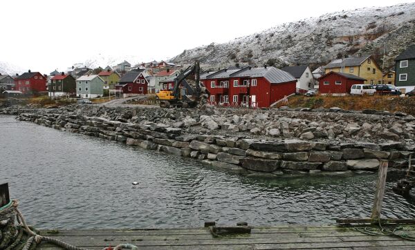 Stiller spørsmål om ansettelse av tidligere domfelt