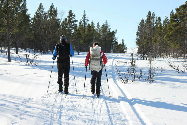 Barnas dag og skitur i Stabbursdalen