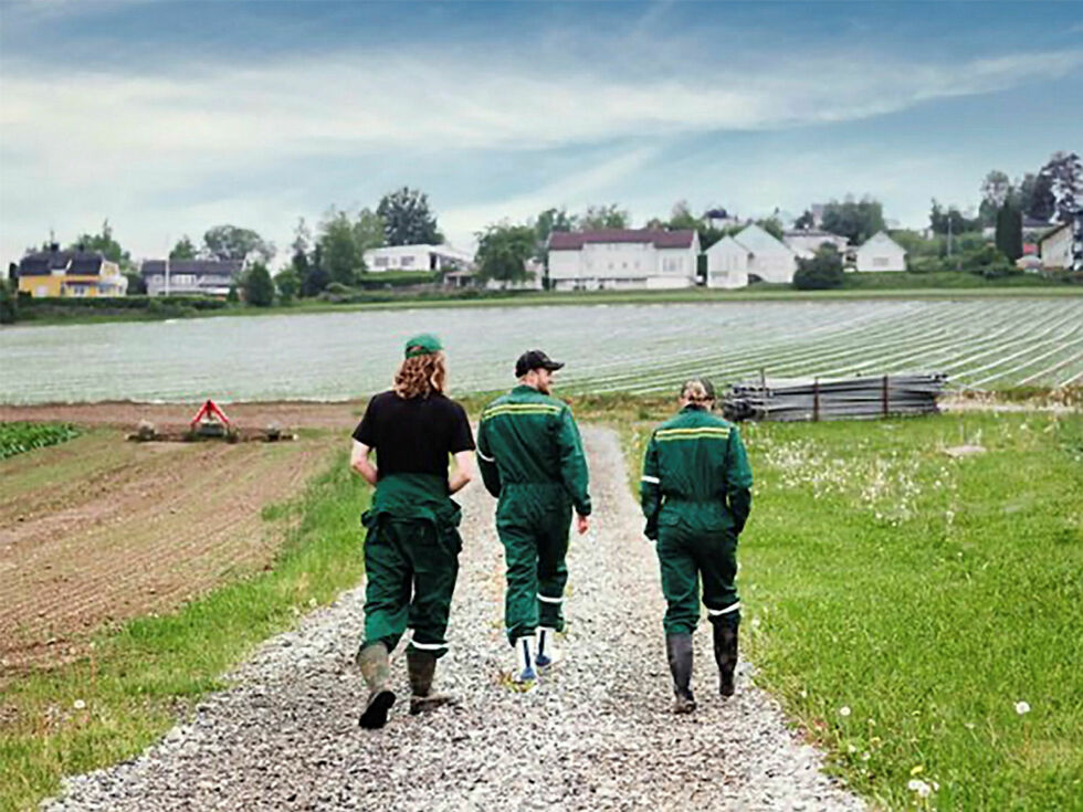Norges Bygdeungdomslag, McDonald's og Felleskjøpet skal igjen utrope Årets unge bonde
 Foto: Marius Svendsen/JCP Prad