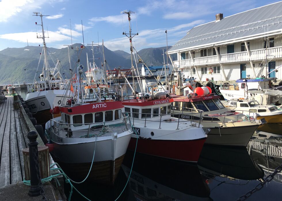 Illustrasjonsbilde fra Honningsvåg august 2017
 Foto: Lisbeth Myrvang